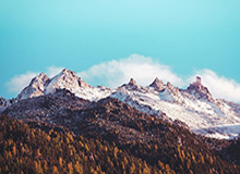 九游官网-“真蓝黑”将帅矛盾已不可调和,卖球星OR换教练?